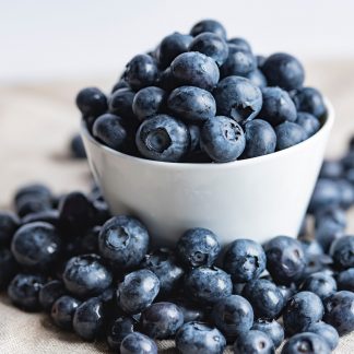Benefits of Blueberries in Your Dog's Diet