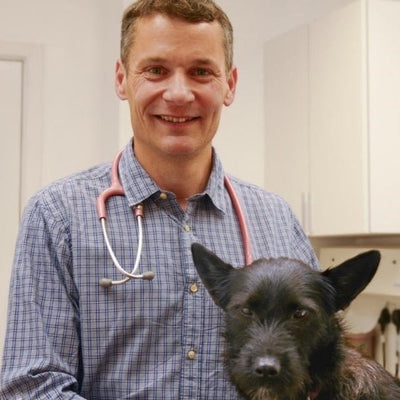 Why Prevention is Better Than Cure: Health and Wellbeing for Dogs