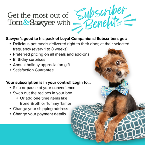 Bestseller Recipes Trial Box