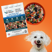 Bestseller Recipes Trial Box