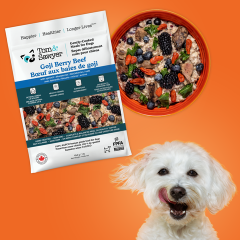 Bestseller Recipes Trial Box