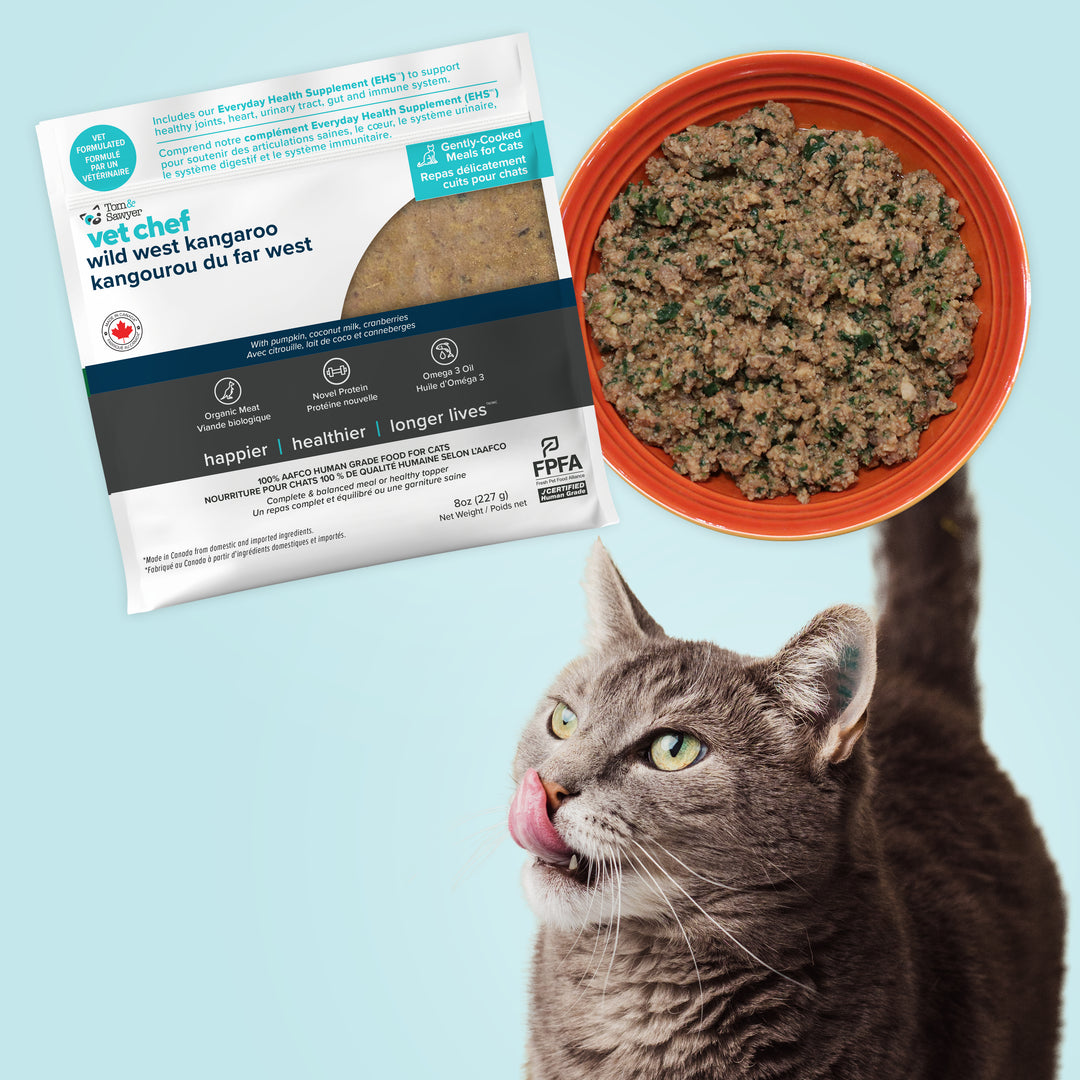 Novel Protein LID Kangaroo Cat Meal Trial Box – Tom&Sawyer