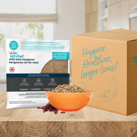 Novel Protein LID Kangaroo Cat Meal Trial Box – Tom&Sawyer