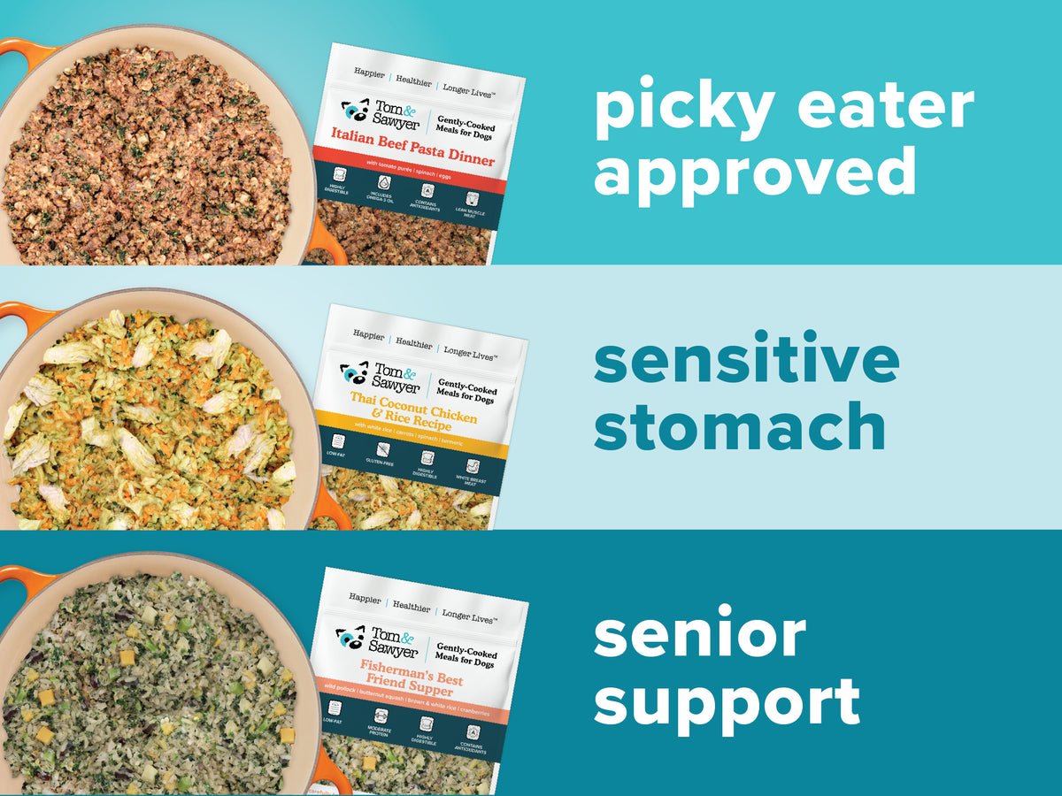 Targeted Nutrition Designed to Support Health Solutions (Pancreatitis, Allergies, & Renal Support)