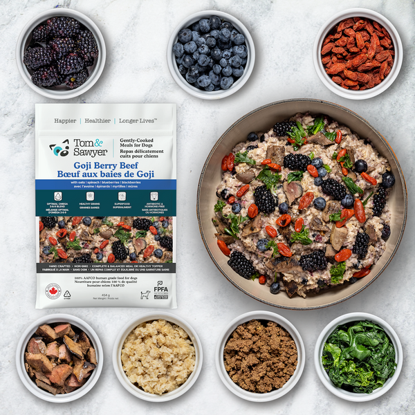 Slideshow product 71cccbb2-df07-42fd-8f50-e697a99824a3-1