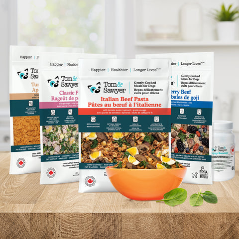 Healthy Start Puppy Pack