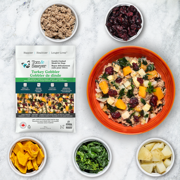 Slideshow product 2b47dff8-ae71-4dd6-ab68-165a8f5485dd-1