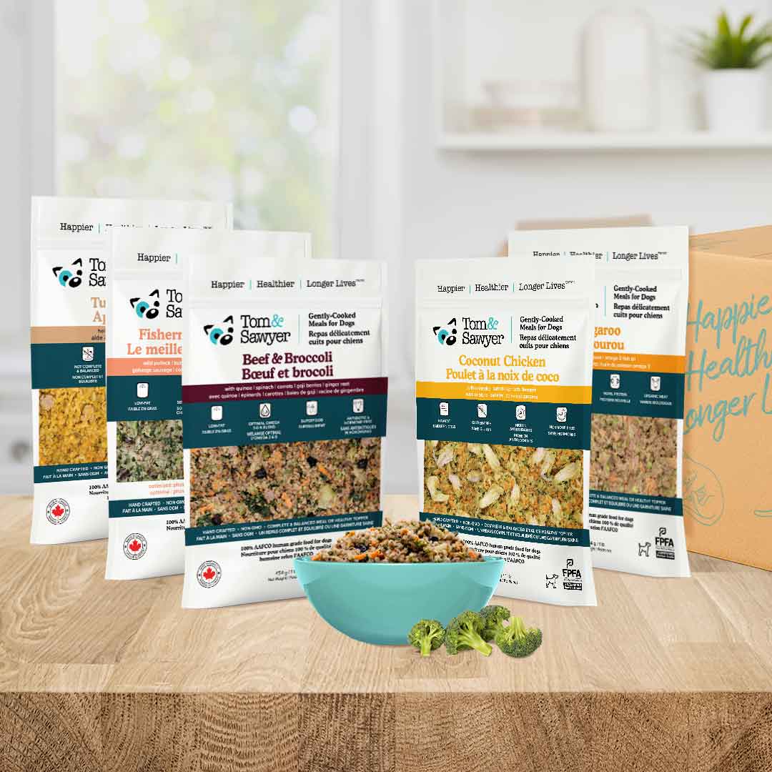 Low Fat Trial Box – Tom&Sawyer