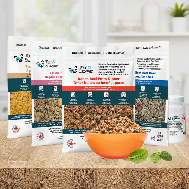 Healthy Start Puppy Pack – Tom&Sawyer